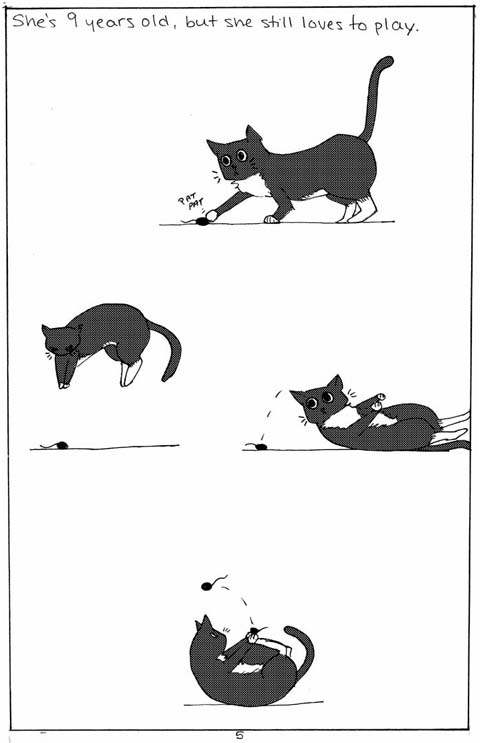 page5