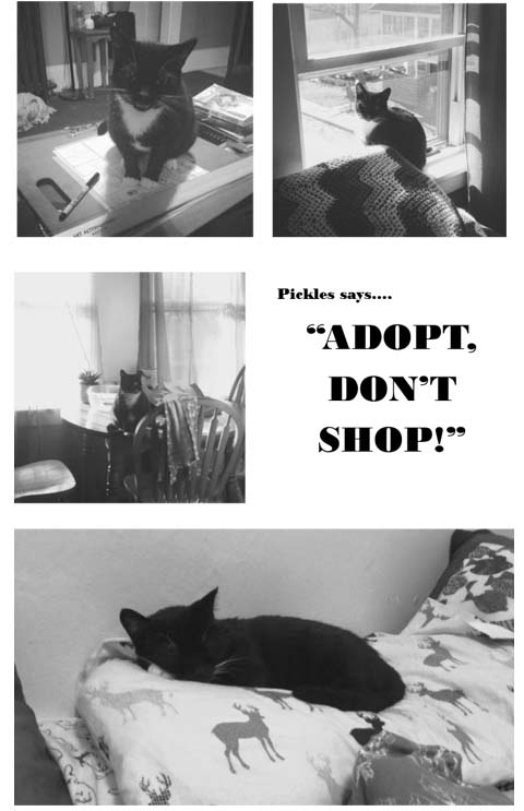 page8