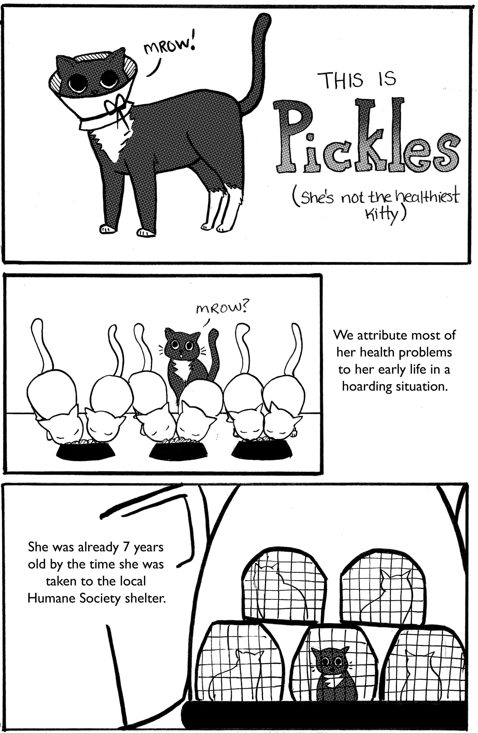 picklezine_vol2_pg1 copy