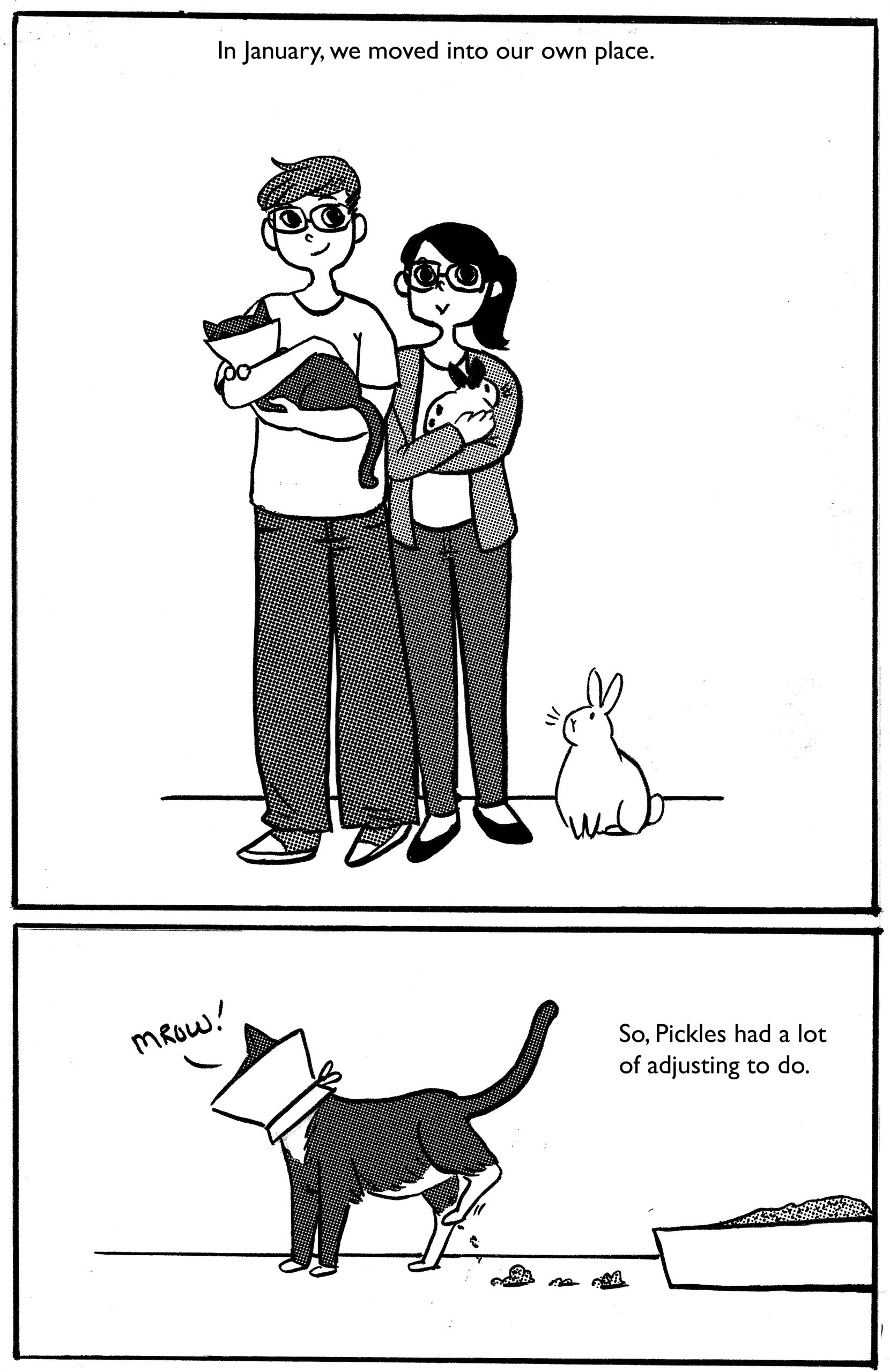 picklezine_vol2_pg4 copy
