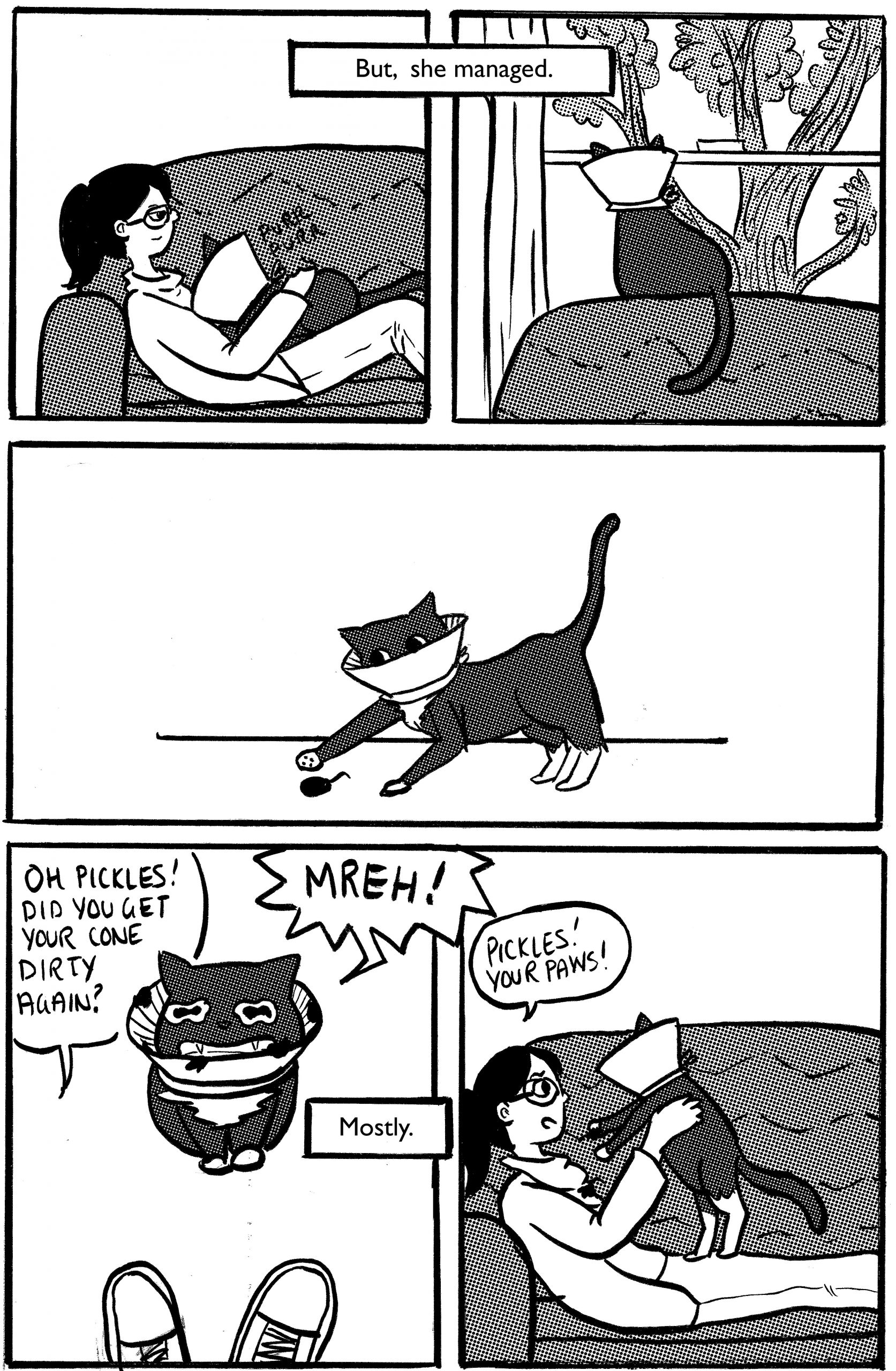 picklezine_vol2_pg5 copy