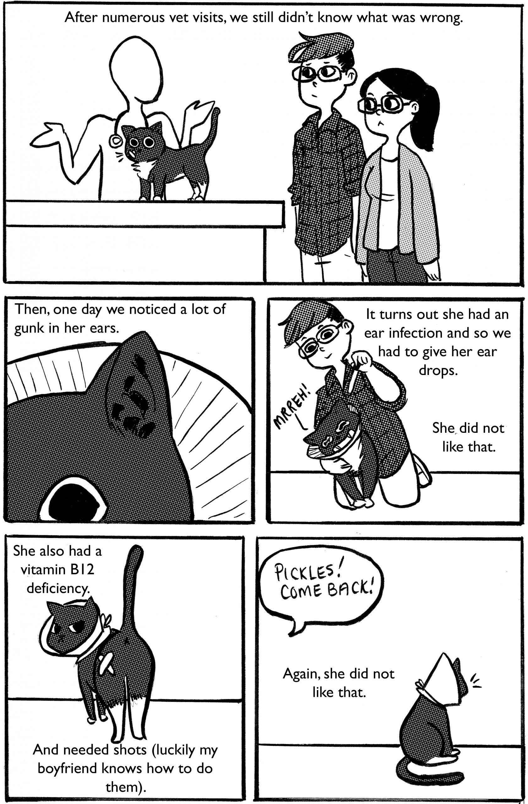 picklezine_vol2_pg6 copy