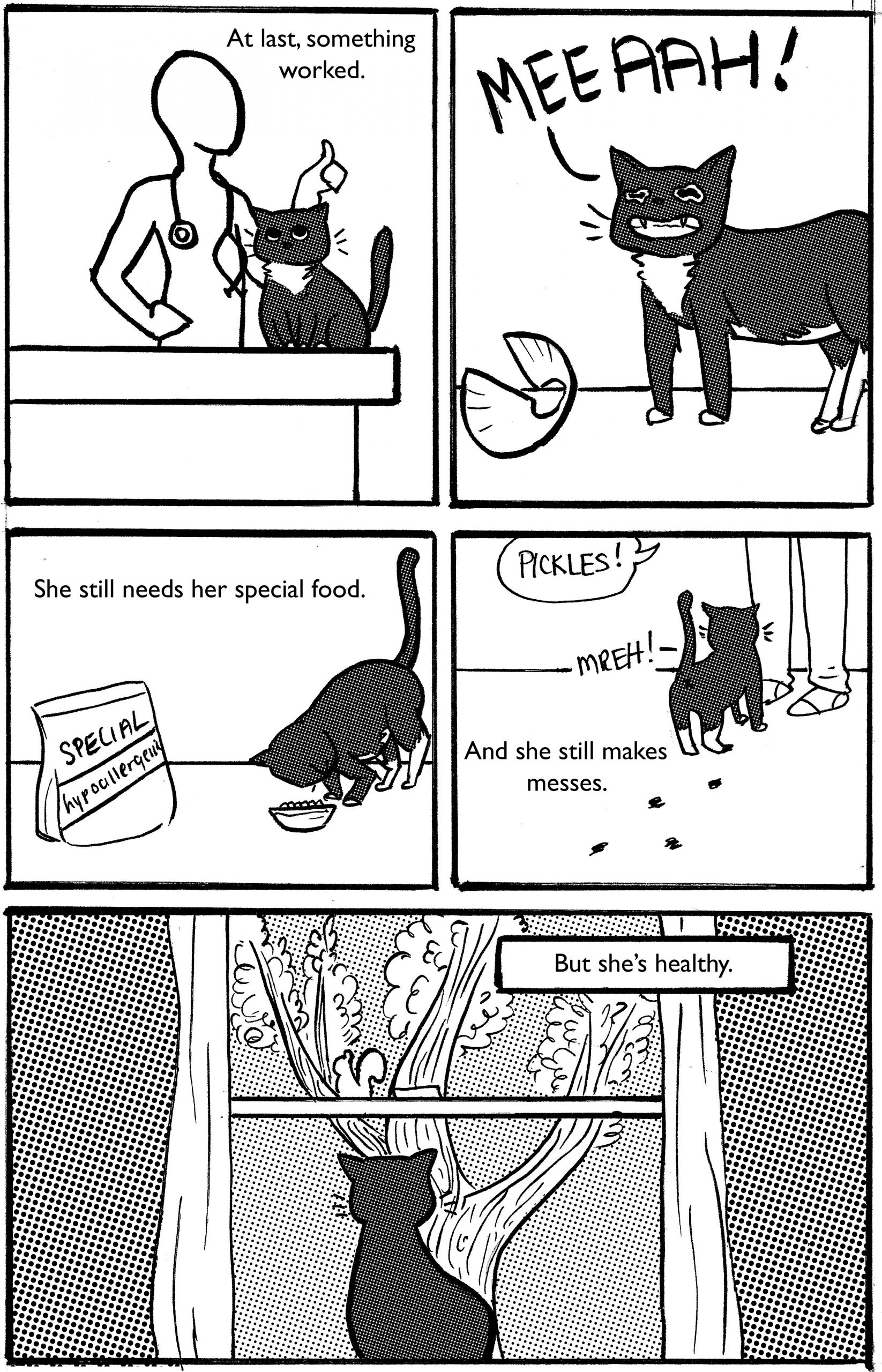 picklezine_vol2_pg7 copy